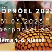 7.02.-31.03.2023 KüberNööpnõel 1.-6. klassi õpilastele